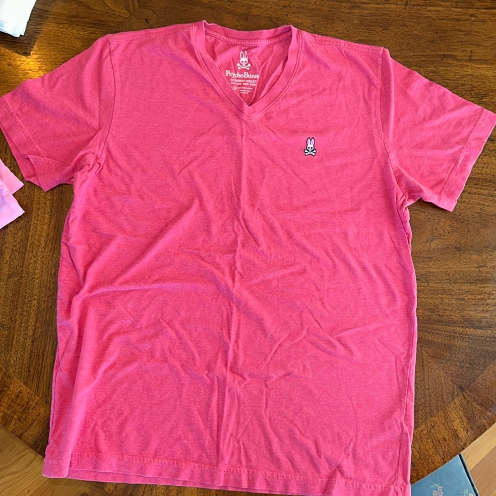 Men’s Psycho Bunny V neck tee. Size 5